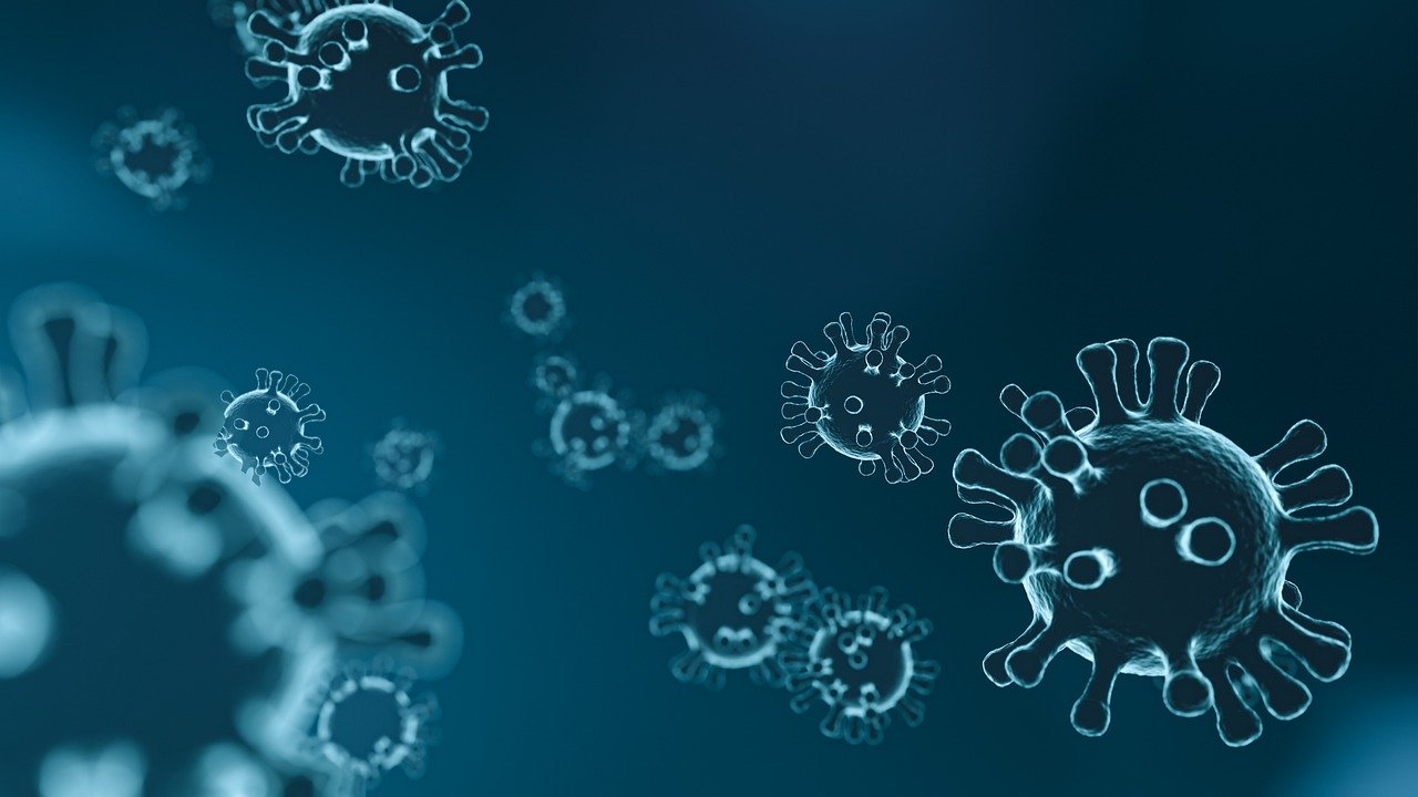 Viren und Bakterien – wo liegen die Unterschiede?